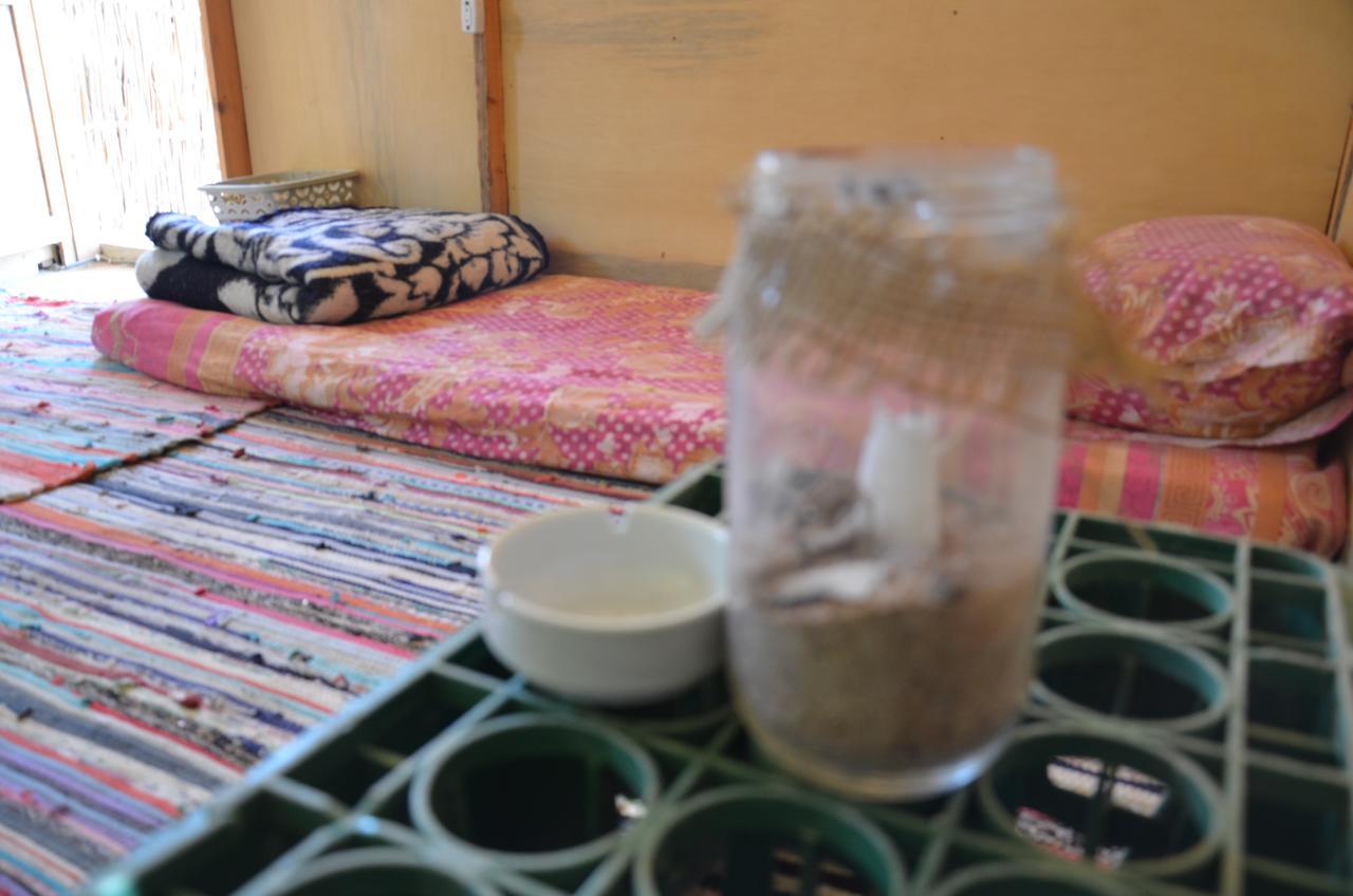 塔巴 Sakratah Camp - Eco Friendly酒店 外观 照片